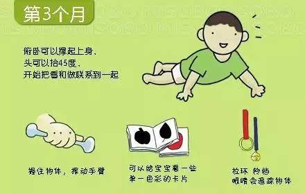 小孩子几个月会爬，探究婴儿爬行发展的里程碑