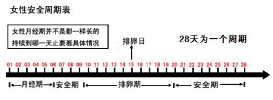 排卵试纸一个月，监测与理解女性生理周期的新途径