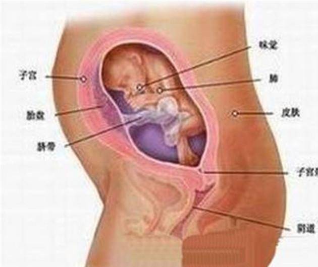 孕六个月应做哪些检查，全面了解孕期检查项目