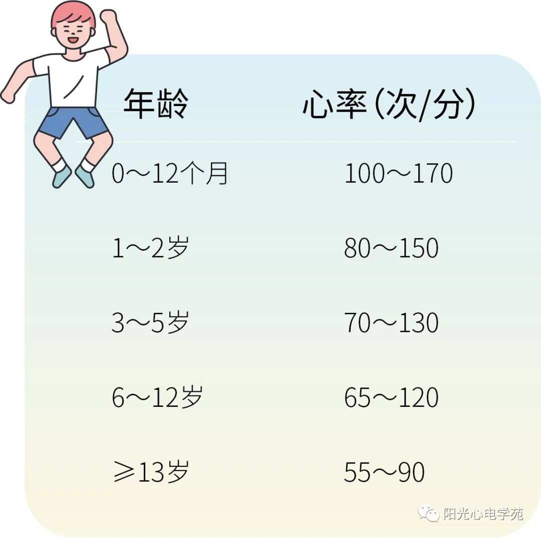 五个月宝宝心跳正常值及其重要性